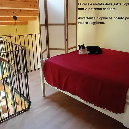 Апартаменты Pozzo Luce
